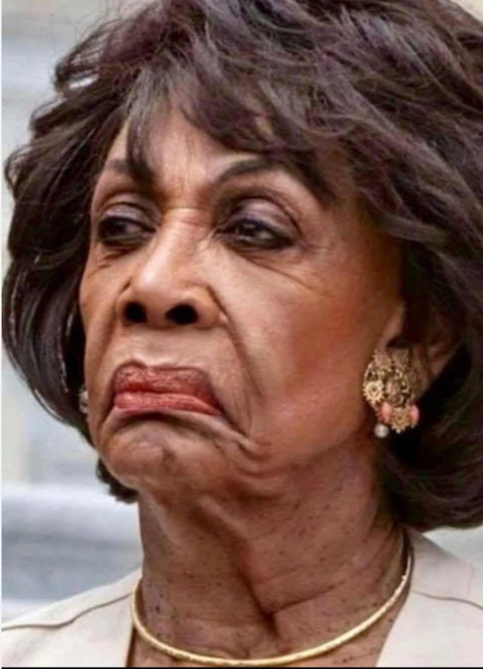 THIS FACE COULD STOP
BIRD SHIT MID AIR meme template