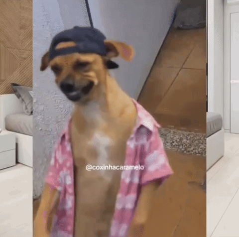 ME WALKING INTO SCHOOL KNOWING I DIDN'T DO ANY HW meme template