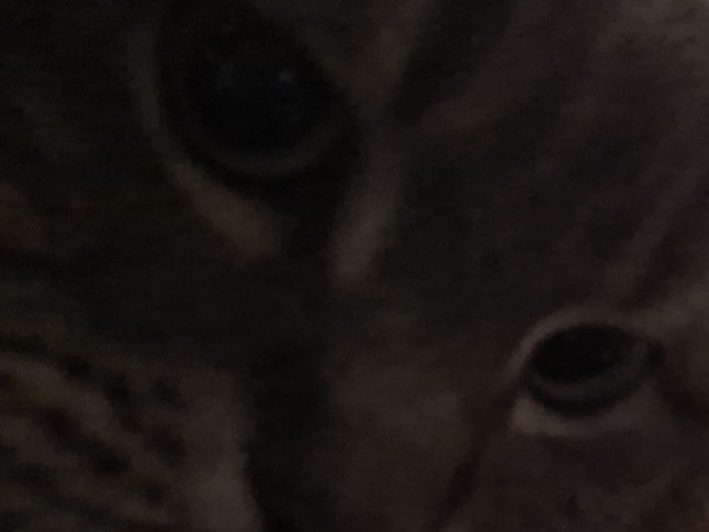 IS THAT MILK? meme template