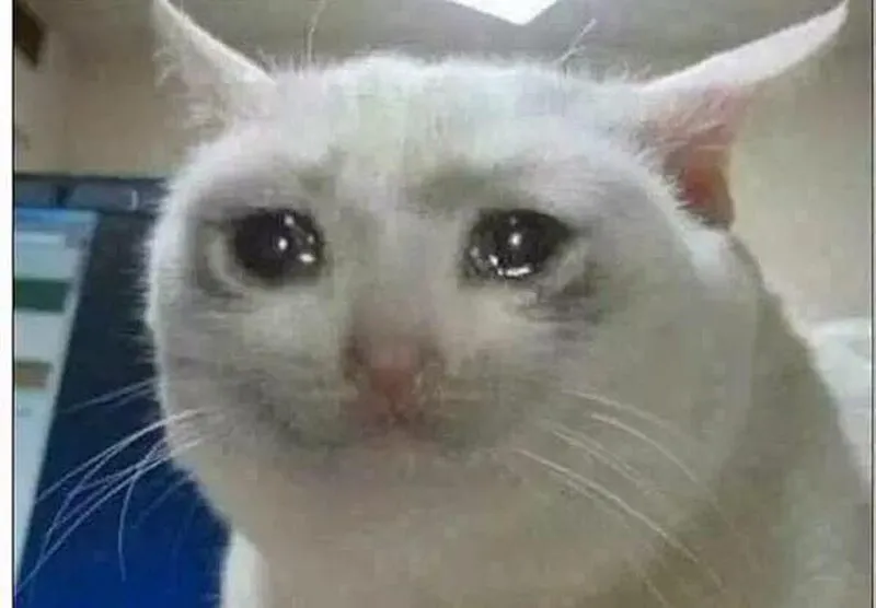 ME WHEN MIST YELLS AT ME: meme template