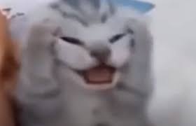 THIS HAS NOTHING TO DO WITH ME - BUT IT'S STRESSING ME OUT meme template