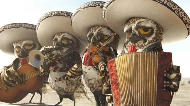 REPORTS JUST IN THAT THE MARIACHI OWLS FROM RANGO - HAVE PULLED OUT OF PERFORMING AT THE AMERICA 250 meme template