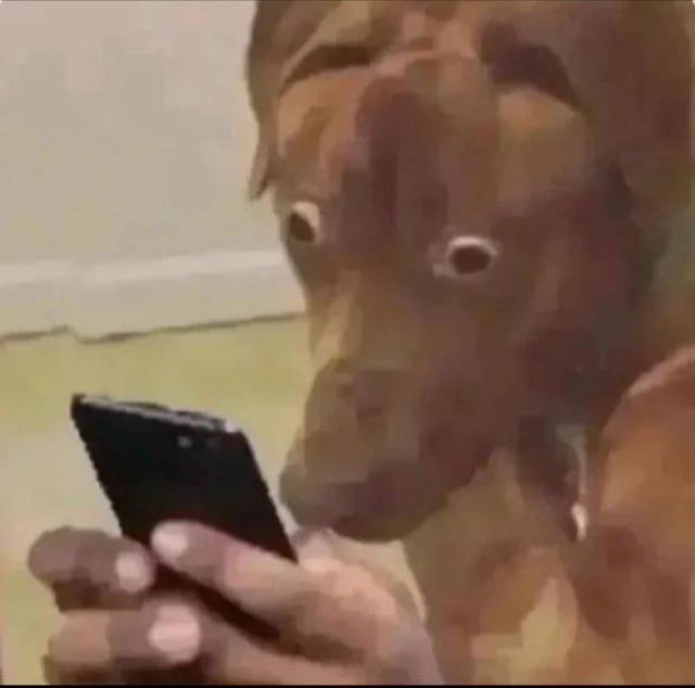ME LOGGING INTO MY ONLINE CLASS - PRETENDING I REMEMBERED THE DUE DATE meme template