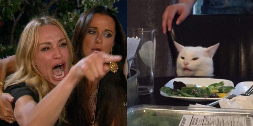 LIZARD: - KAYLA - YOU SICK FUCK meme template