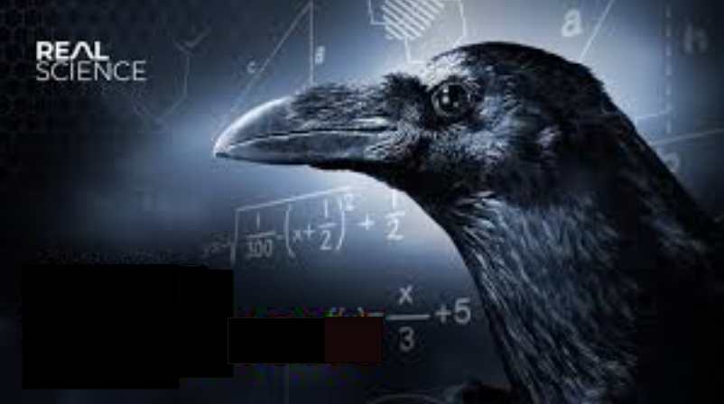 HIGH IQ - AUSTISM OR meme template