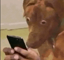 WHEN YOUR MOM LOOKS AT - YOUR SEARCH HISTORY meme template