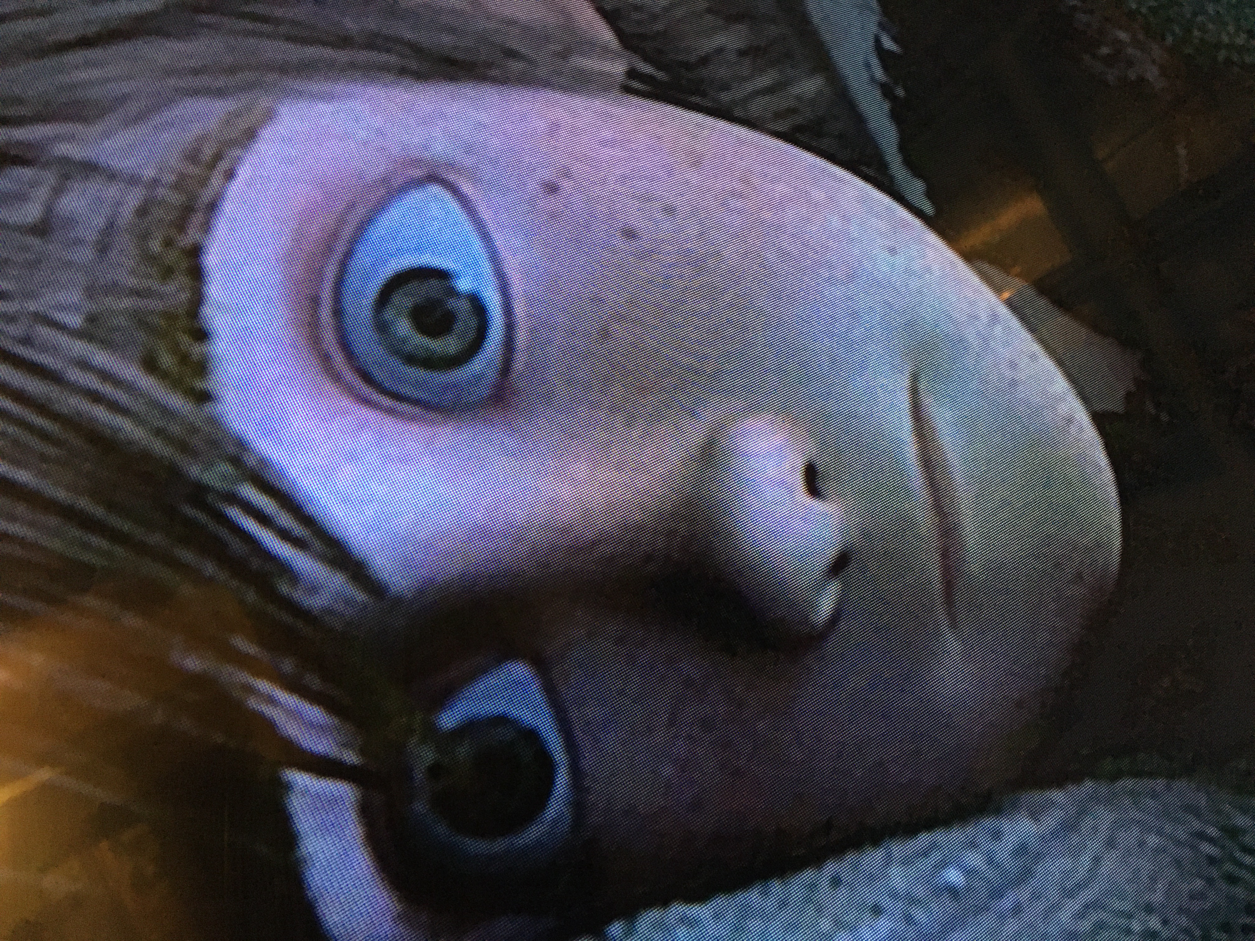 WELP - WE DEAD. meme template