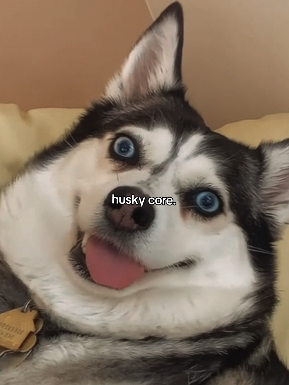 AM I PRETTY YET? meme template