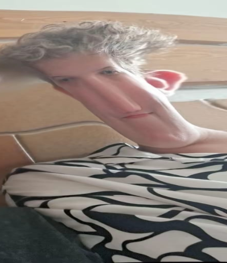 JULSON - PIZDON meme template