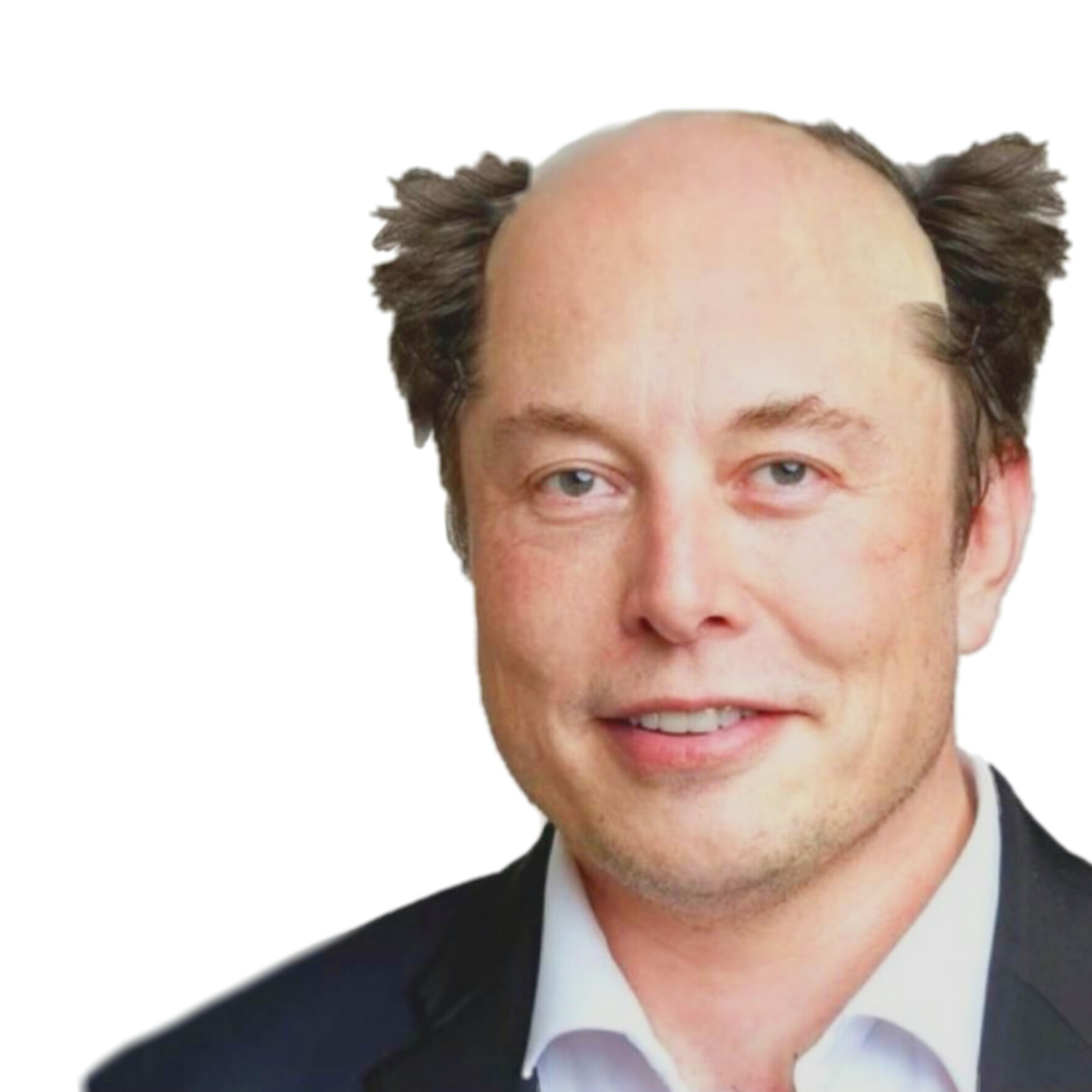 The real elon meme template