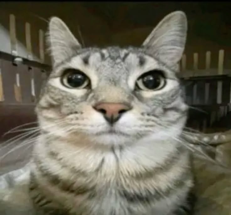 HOW I LOOK AT MY COMPUTER AFTER I GET BANNED ON ROBLOX meme template