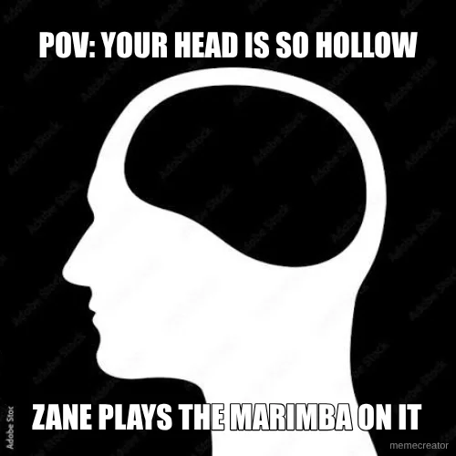 the head is too hollow meme template