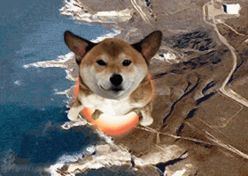 BILLY GENUINELY GETTING SENT TO ORBIT - AFTER CONNOR BROWN RELEASES THE TIM HORTON’S CHILLY GAS meme template