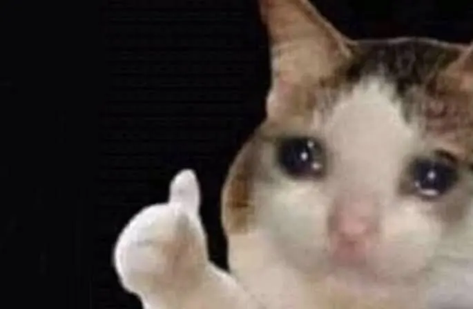 WHEN THE TEACHER ASKS IF YOU HAD FUN THIS YEAR meme template