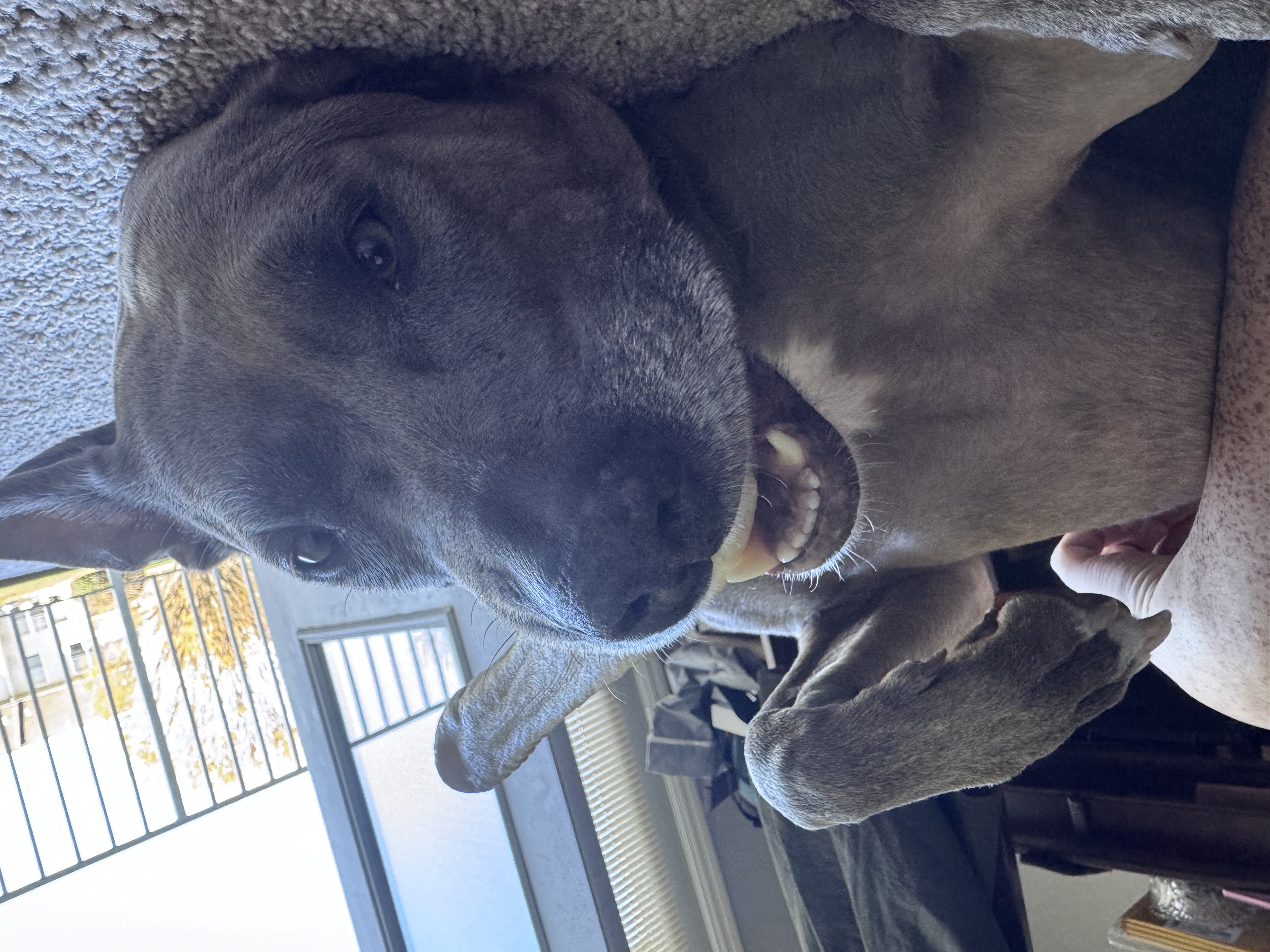 FIG, LISTENING TO VERSE 47 OF A SONG THAT JENNA JUST SANG TO HER meme template