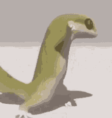 lizard meme template