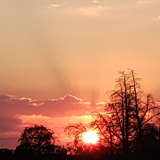 sunrise meme template