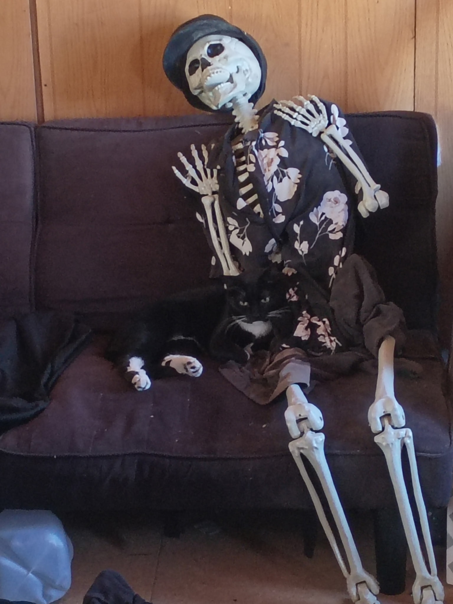 IT'S BEEN TWO DAYS - CAN I PLEASE GET UP NOW??? meme template