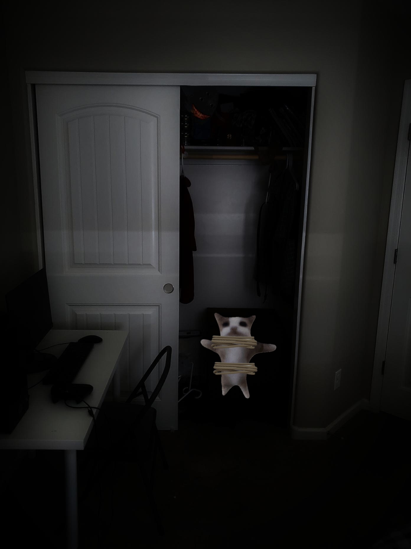 WHEN SHE TIES YOU UP AND LOCKS YOU IN HER CLOSET AND YOU HAVE TO PRETEND LIKE YOU HATE IT meme template