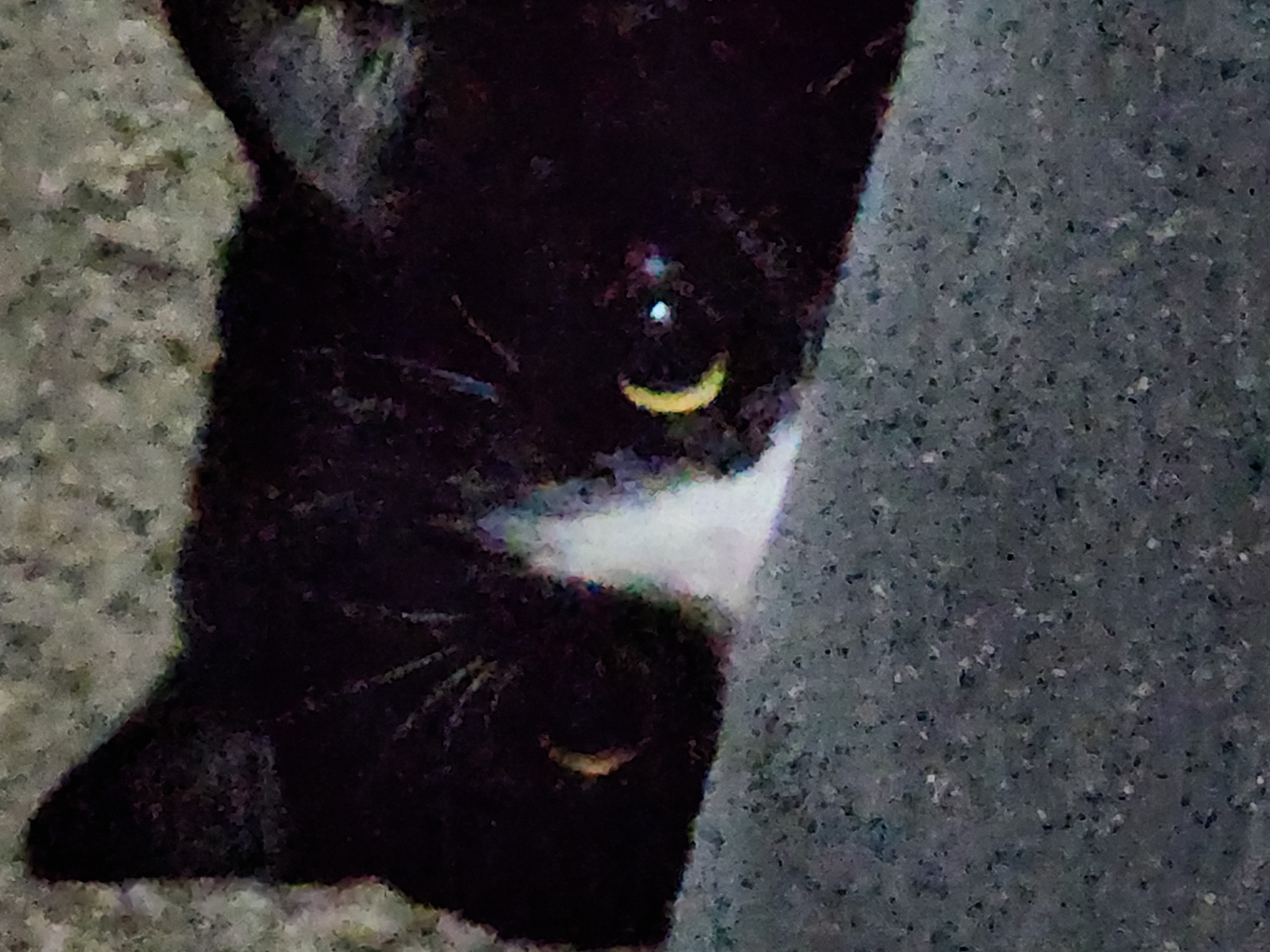 ME WHEN I PEEK A CORNER - meme template
