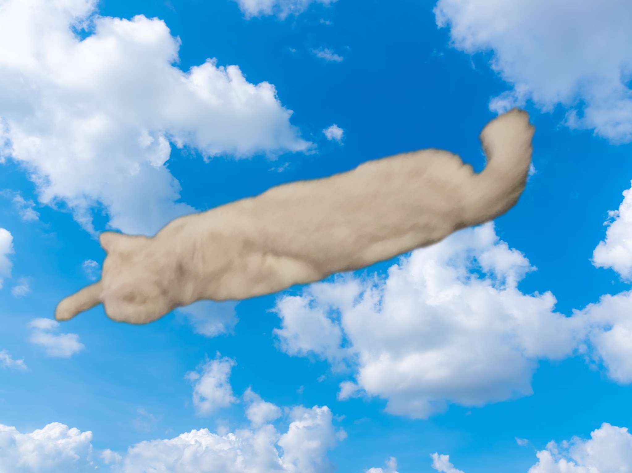 THEO - IS FLYING ❤️ meme template