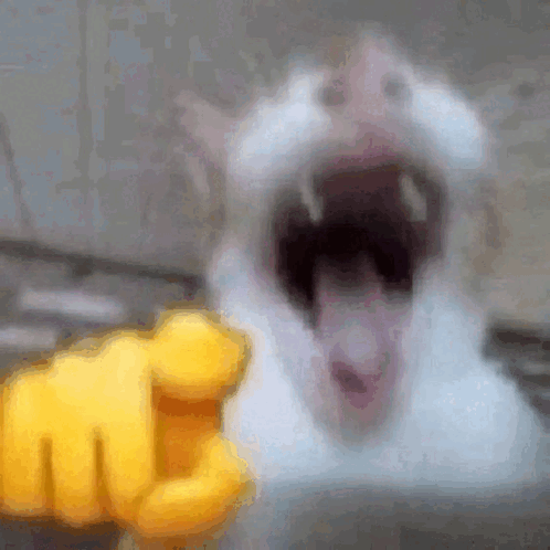 vuknok meme meme template