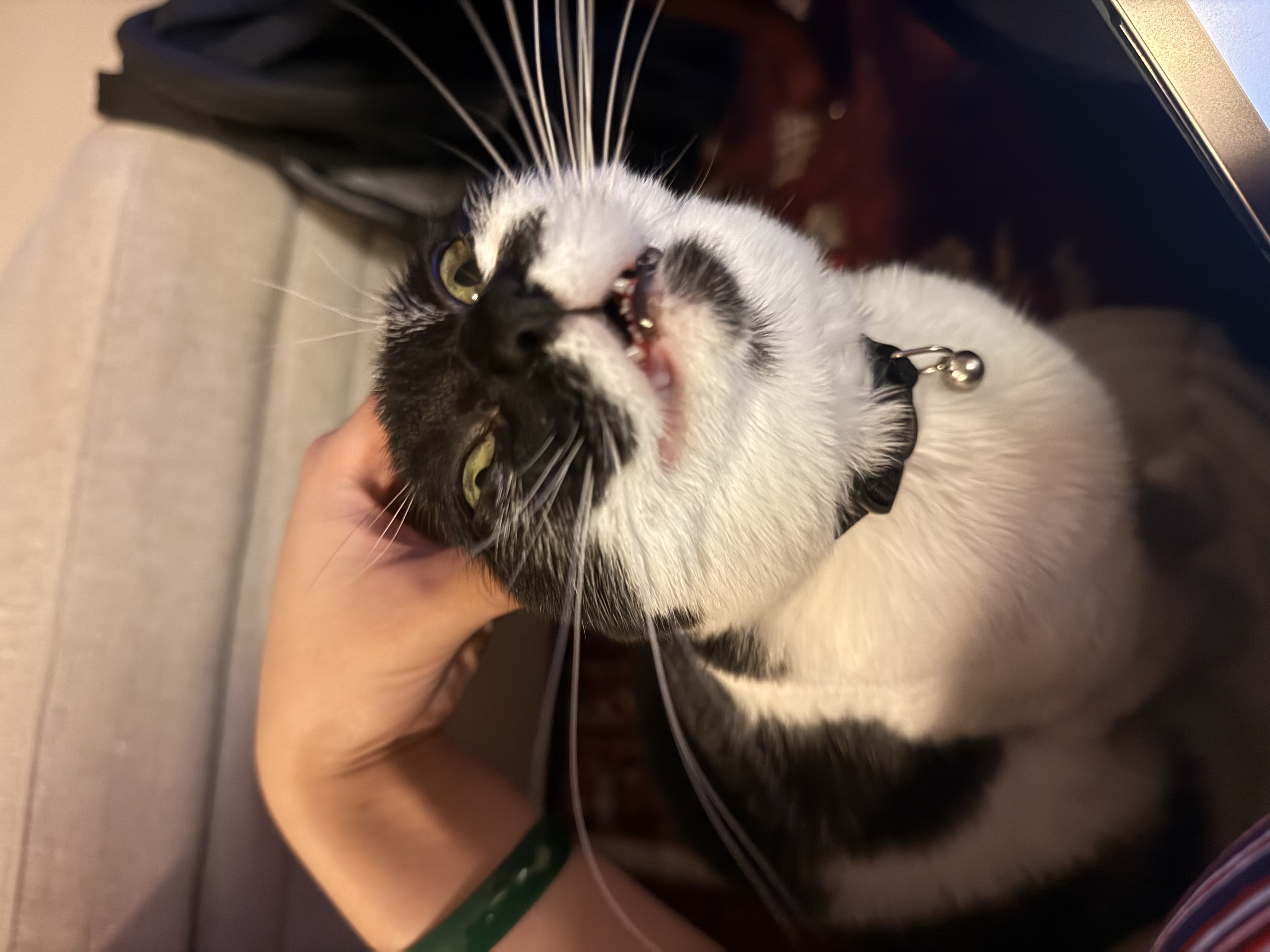 KID NAMED PUBERT meme template