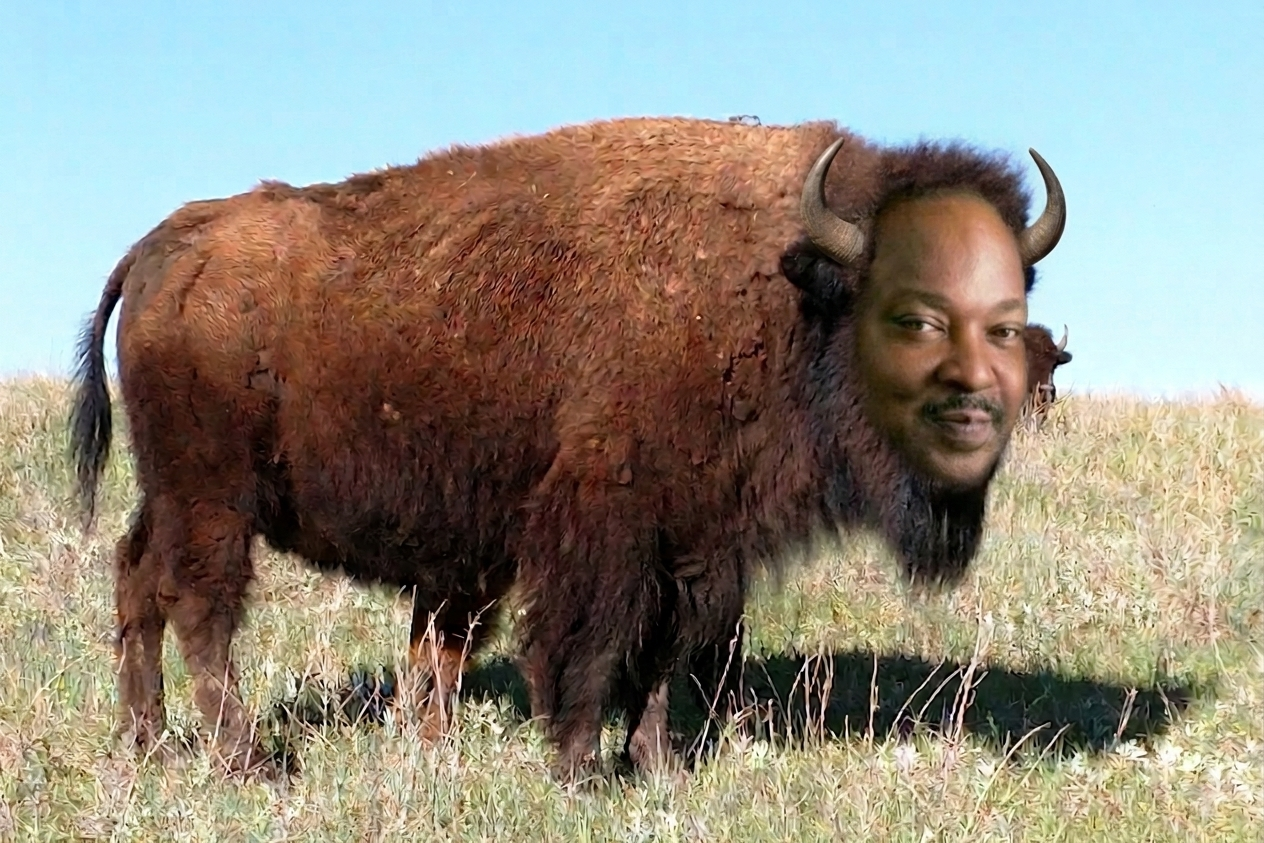 biSON meme template