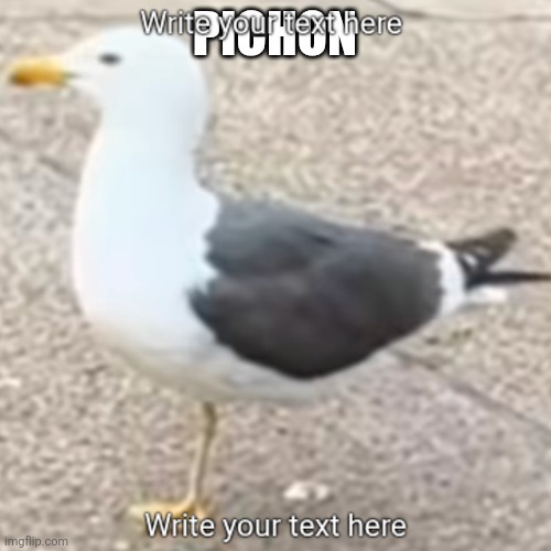33557 meme meme template