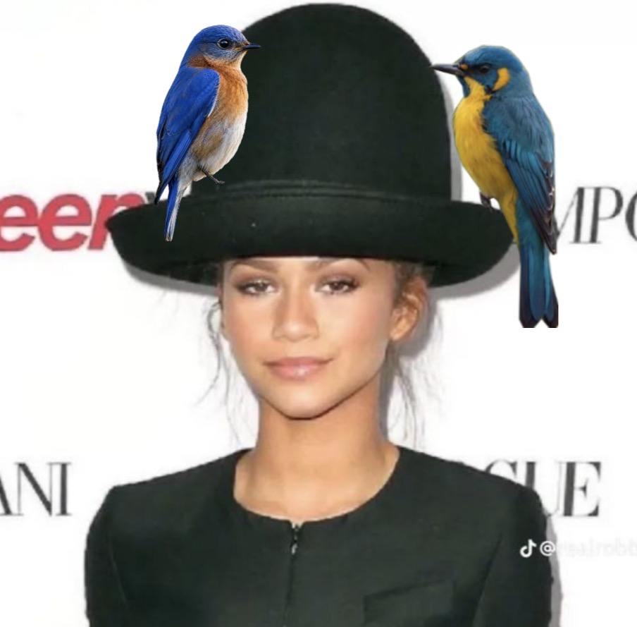 ZENDAYA GAT THEORY meme template