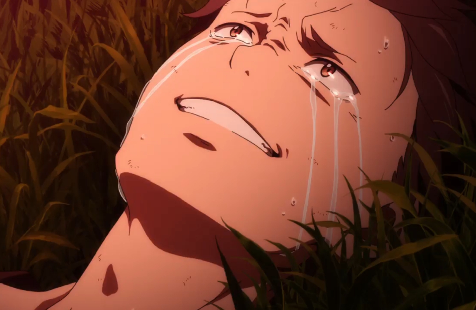 TEAR OF - CARE FOR - CATS meme template